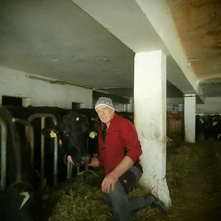 度假居 Schneiderhof 蒂罗尔-泽费尔德