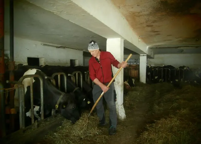 Schneiderhof Holiday home Seefeld in Tirol